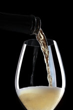 Cargar imagen en el visor de la galería, Vino Espumoso Casa Madero 750 ml